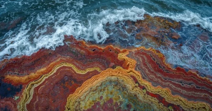 Tảng đá lại có thể lớn lên? “Đá sống” ở Nam Phi phát triển bất kể ngày đêm缩略图