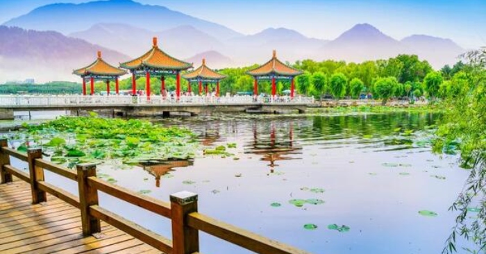 Thật khó tin! Có được khả năng chữa bệnh thần kỳ trong giấc mơ缩略图