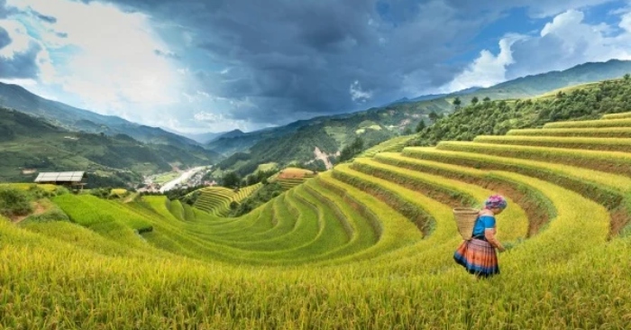 Kiến thức thú vị trong cổ tịch (2): Vạn vật trên thế gian đều không nằm ngoài quy luật này缩略图