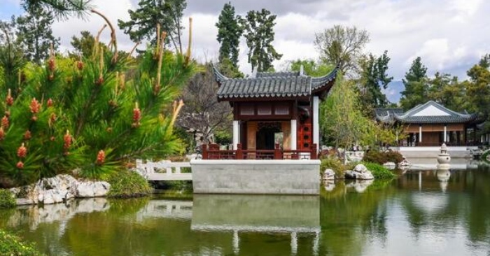 Bội tín nuốt lời, trong mộng biến thành chó缩略图