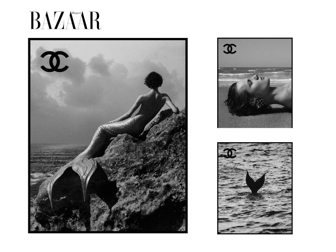CHANEL Cruise 2026/27: Matthieu Blazy đưa giới mộ điệu trở lại Biarritz缩略图