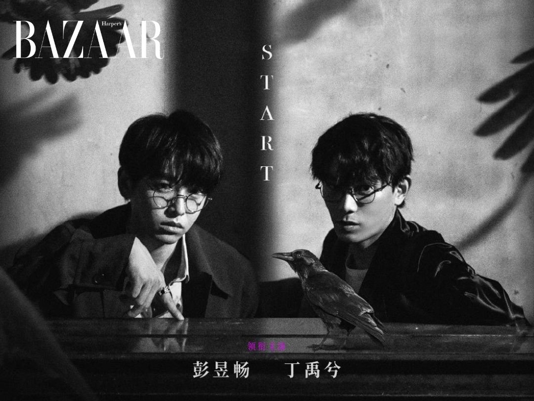 Đinh Vũ Hề, Bành Dục Sướng bước chân vào thế giới trò chơi mạng đổi mạng缩略图