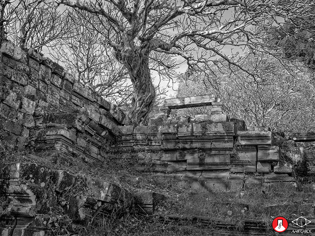 Triển lãm Inscape: Những nội cảnh mở ra từ thế giới hữu hình của Tom Hricko缩略图