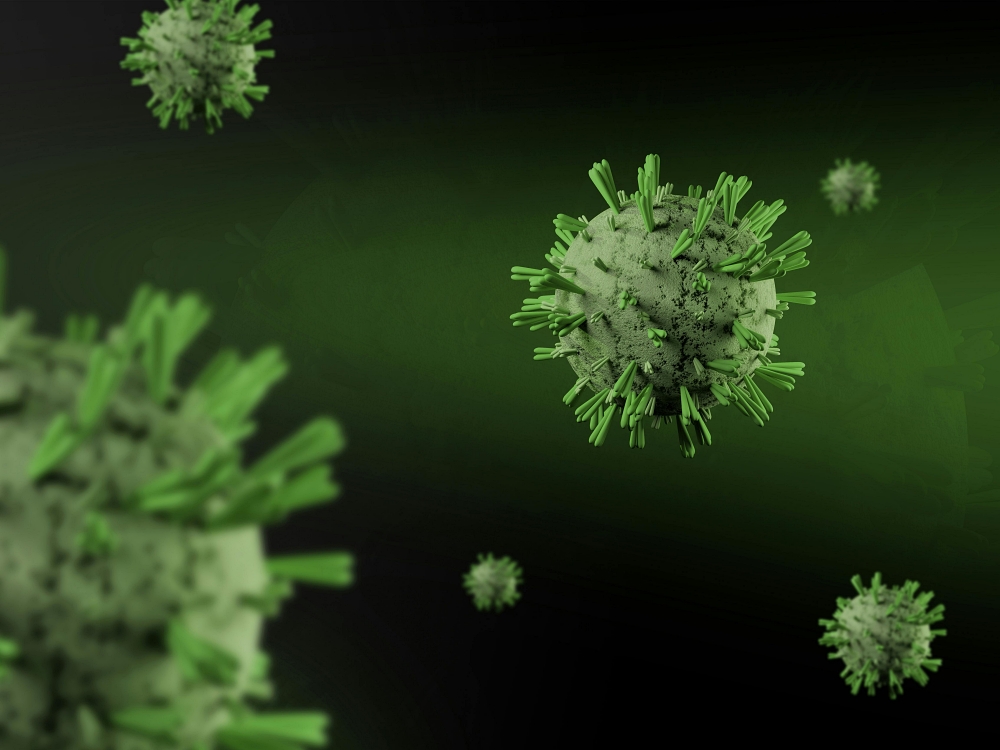 Bạn có nên lo lắng về hantavirus? Các triệu chứng và biện pháp phòng ngừa缩略图