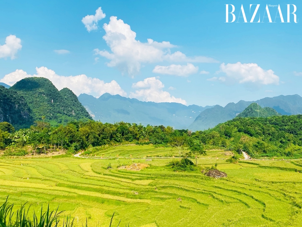 Các địa điểm ngắm lúa chín ở Pù Luông đẹp nhất là ở đâu?缩略图