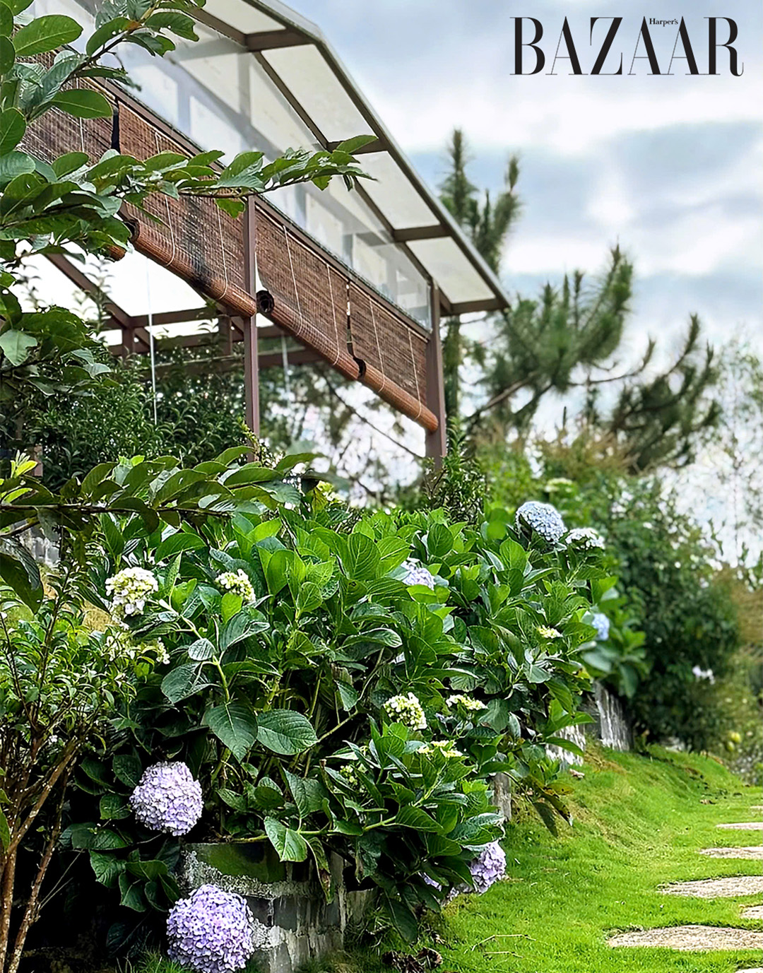 Anne’s Garden: Khu vườn hoa hồng trăm cây cận kề Bảo Lộc缩略图