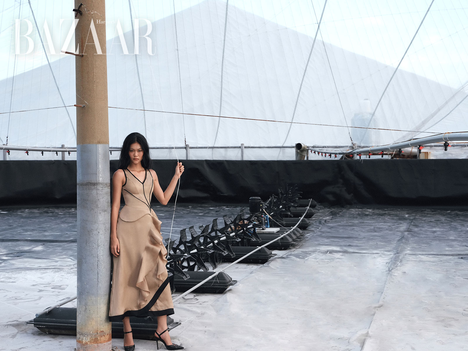 Phan Dang Hoang Resort 2026: Tiếng Gà Trưa缩略图