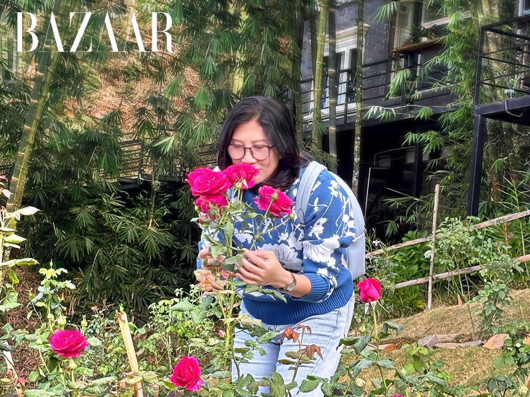 5 lý do khiến Anne’s Garden là điểm dừng chân phải đến ở Bảo Lâm缩略图