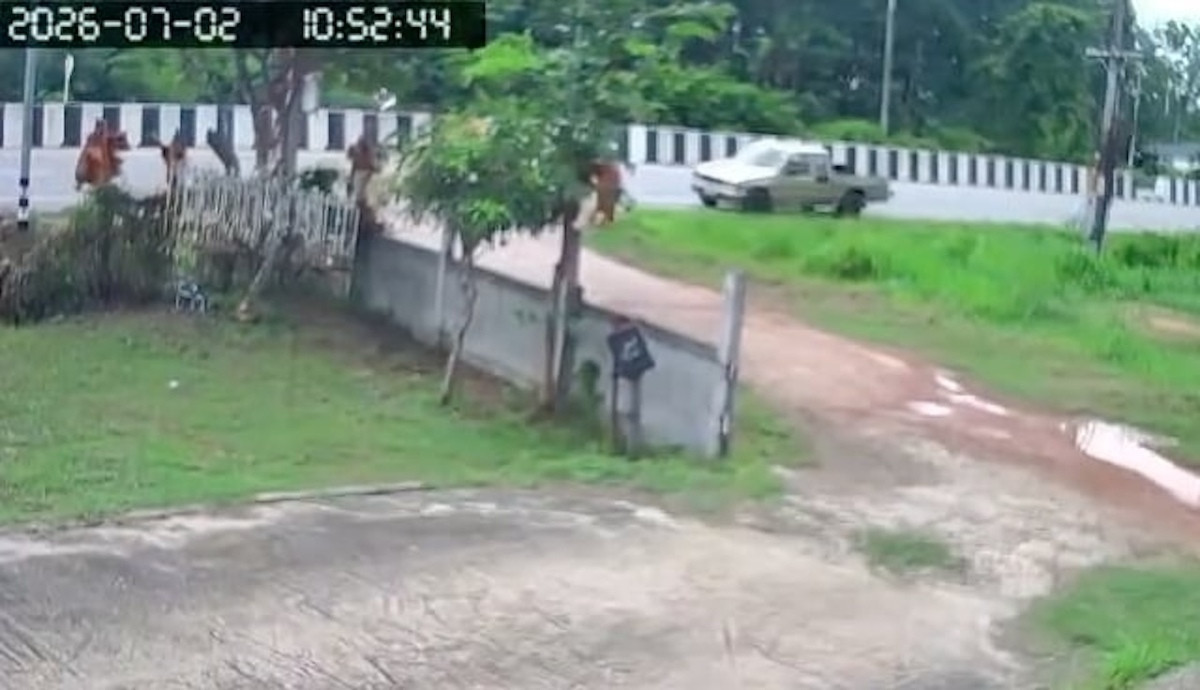 Video khoảnh khắc bé trai 11 tuổi lao xe vào đoàn nhà sư Thái Lan, 10 người chết缩略图