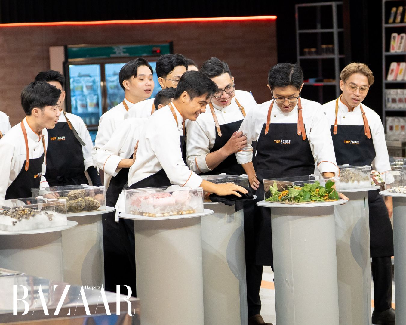 Tập 1 Top Chef Việt Nam 2026 biến “quái vật đại dương” thành fine dining缩略图