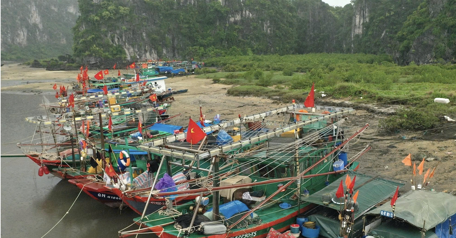 Ảnh hưởng bão số 4, Quảng Ninh tạm ngừng cấp phép tàu ra khơi缩略图
