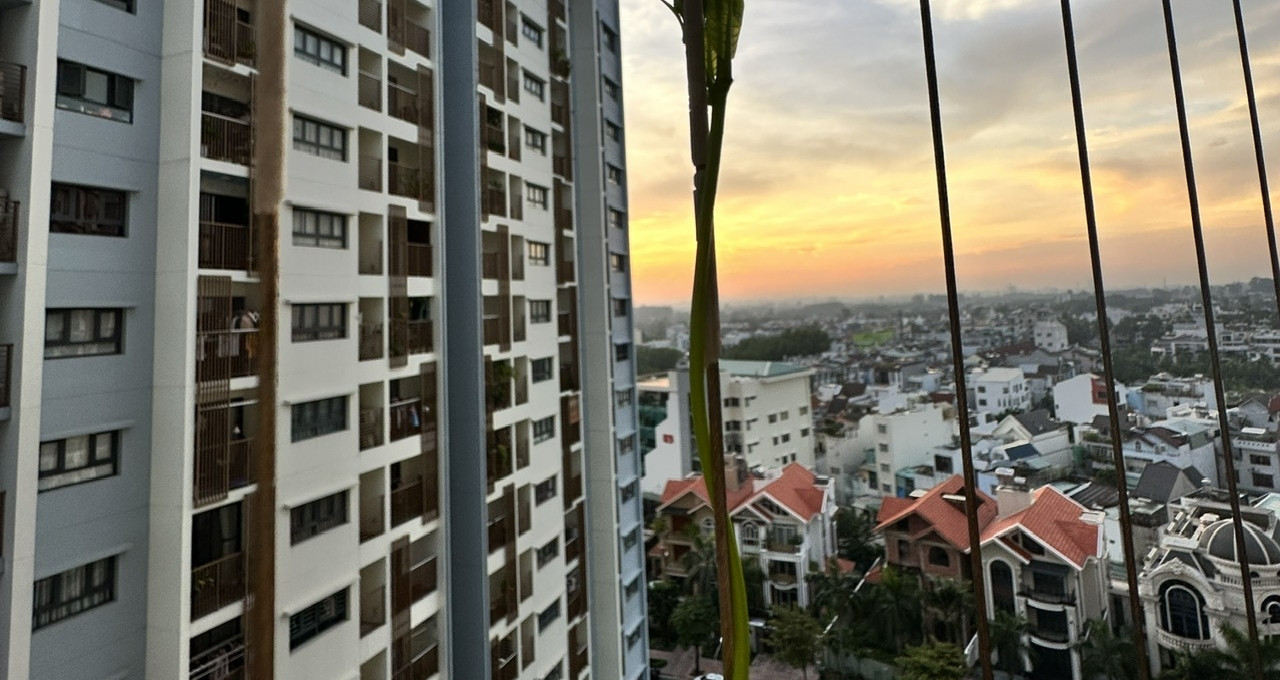 Vắng giúp việc vài ngày, nữ giám đốc xinh đẹp khiến chồng ngỡ ngàng缩略图