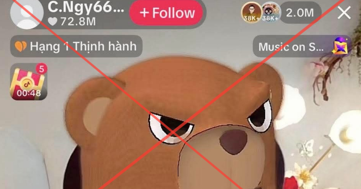 Vì sao TikTok khoá phiên livestream của bà Nguyễn Phương Hằng?缩略图