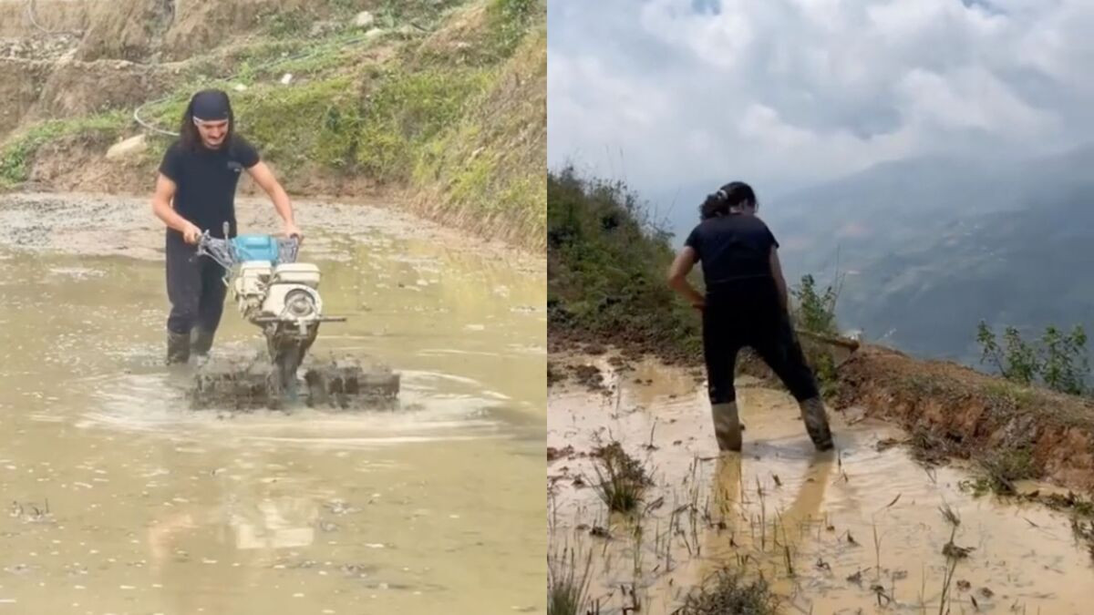 Xem khách Tây cuốc đất, đi bừa ở Tà Xùa, dân mạng đùa &amp;apos;đi săn mây hay săn việc&amp;apos;缩略图