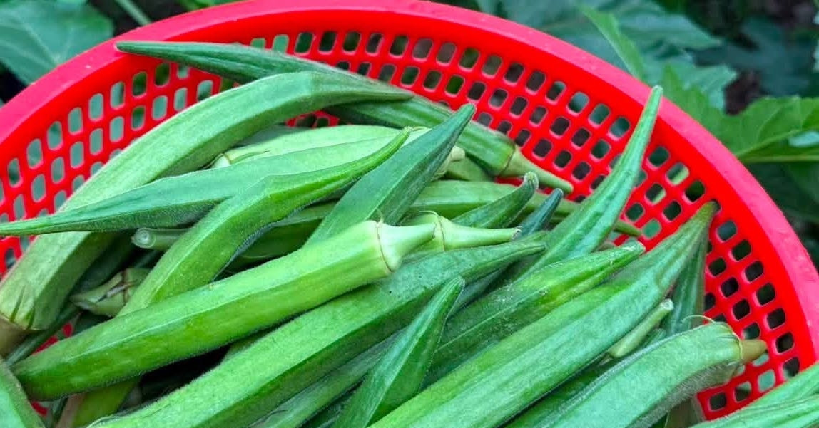 Loại quả rẻ bèo bán đầy chợ giúp kiểm soát đường huyết hiệu quả缩略图