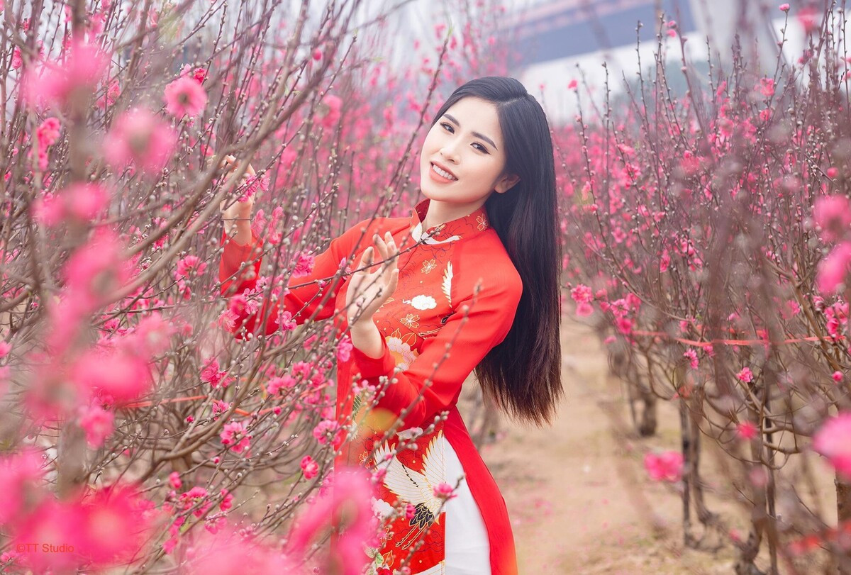 Bộ Nội vụ thông báo lịch nghỉ Tết Nguyên đán Đinh Mùi 2027缩略图