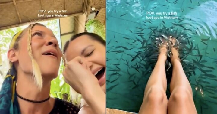 Khách Tây đi massage vịt, cá ở Việt Nam khen &amp;apos;kỹ thuật viên rất tốt, rất hài&amp;apos;缩略图