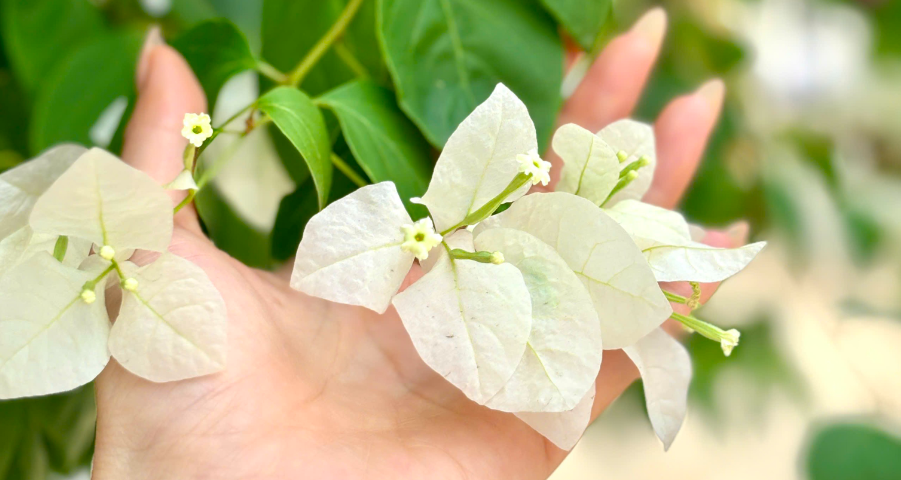 Nỗi ám ảnh của người vợ mỗi khi được chồng… ôm缩略图