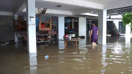 Nước ngập tràn vào nhà, người dân ở Quảng Ngãi bế lợn chạy lũ缩略图