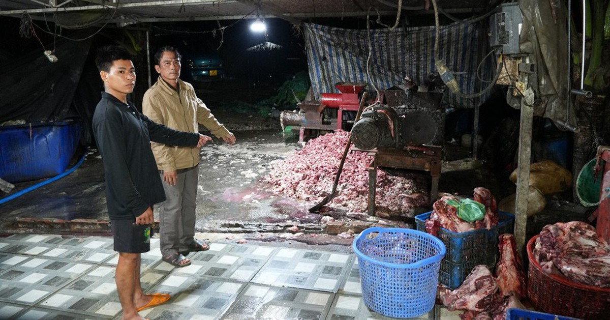 Triệt phá đường dây đưa 400 tấn thịt heo bệnh ra thị trường, thu lợi 10 tỷ đồng缩略图