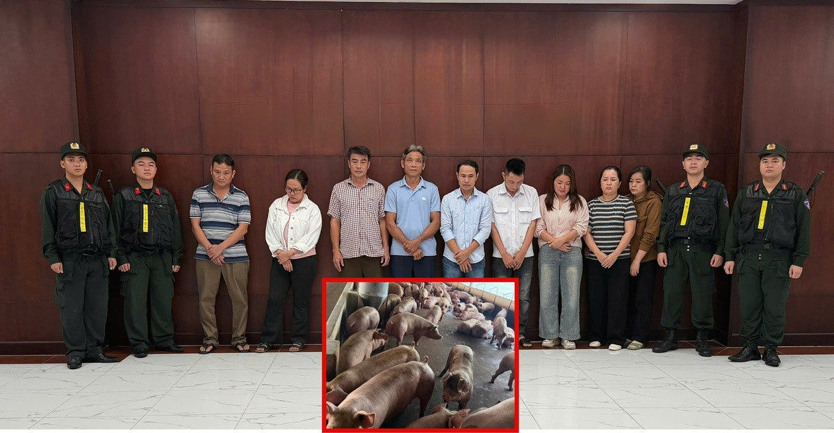 Triệt phá đường dây đưa hơn 10.000 tấn heo nhiễm chất cấm ra thị trường缩略图